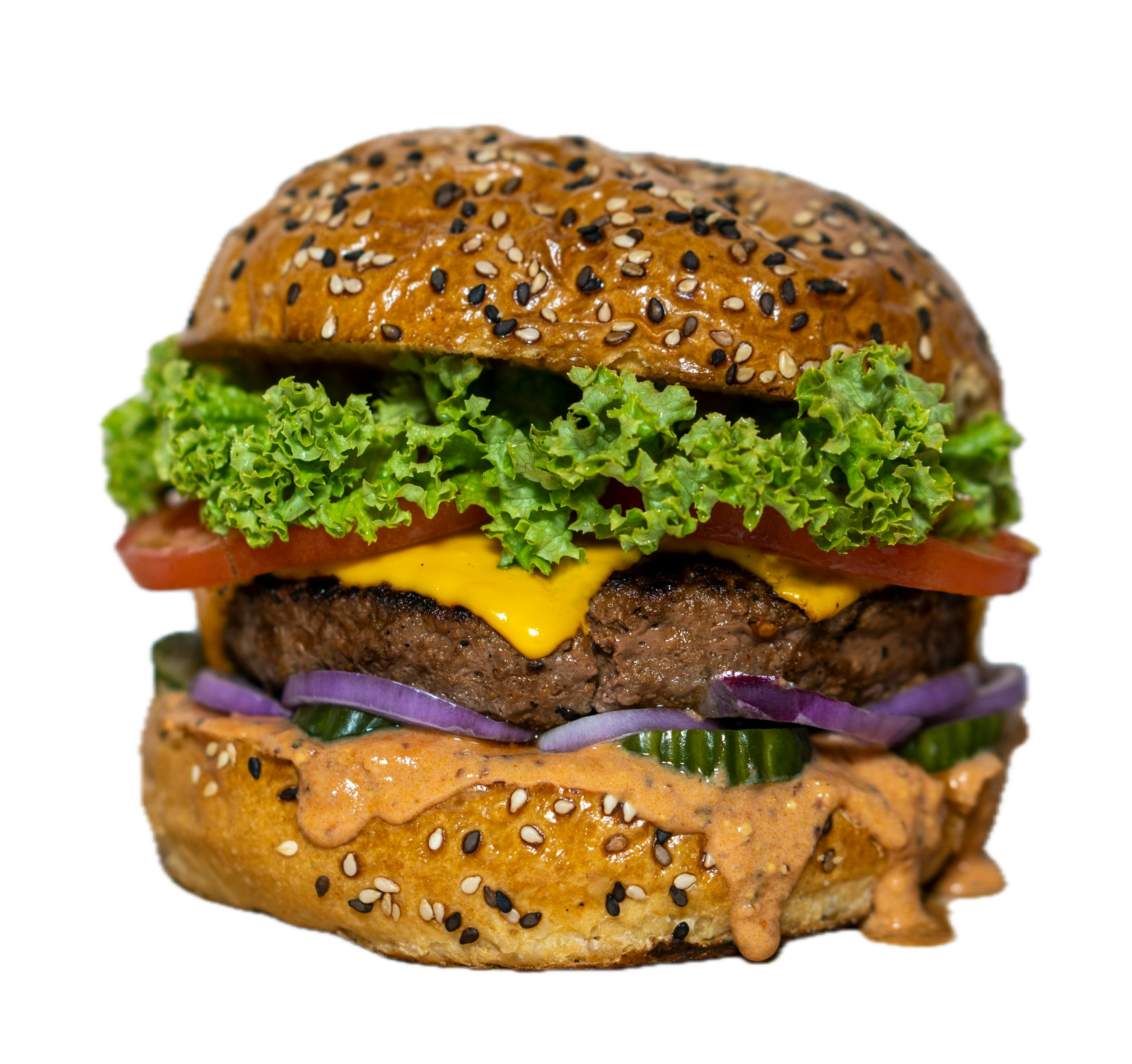 Sebze Lezzet Burger